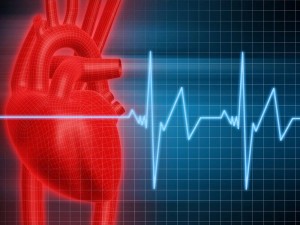 Cardiovascular Effects of EMF