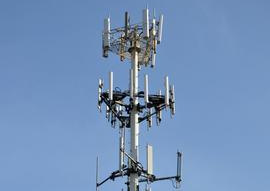 Residents object to ‘forest’ of cell masts