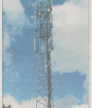 EMF from cell masts a ‘hot chilli’ to chew