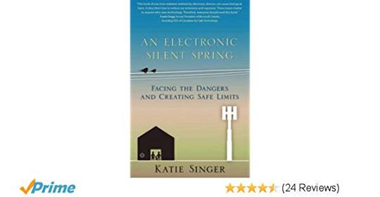 An Electronic Silent Spring: Facing the Dangers and Creating Safe Limits