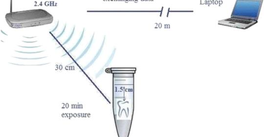 Effect of radiofrequency radiation from Wi-Fi devices on mercury release from amalgam restorations